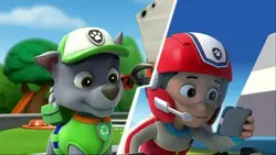 Paw Patrol, la Pat'Patrouille - La pat'patrouille se jette à l'eau