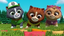 Paw Patrol, la Pat'Patrouille - La piñata d'anniversaire
