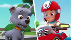 Paw Patrol, la Pat'Patrouille - Le bébé dauphin