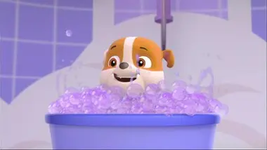 Paw Patrol, la Pat'Patrouille - Le mariage