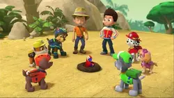 Paw Patrol, la Pat'Patrouille - Le perroquet en danger