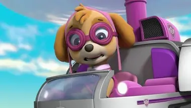 Paw Patrol, la Pat'Patrouille - Les bébés autruches