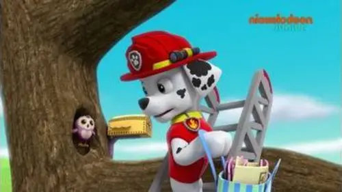 replay de Paw Patrol : la Pat'Patrouille | Les lapins volants | NICKELODEON JUNIOR