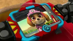 Paw Patrol, la Pat'Patrouille - Mission Dino : A la recherche des oeufs perdus