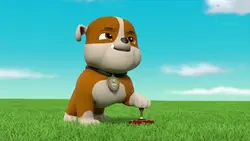 Paw Patrol, la Pat'Patrouille - Mission Dino : Le ptérodactyle