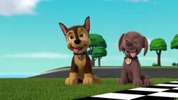 Paw Patrol, la Pat'Patrouille - Pique-nique en famille