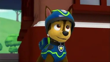 Paw Patrol, la Pat'Patrouille - Trois pingouins dans la ville