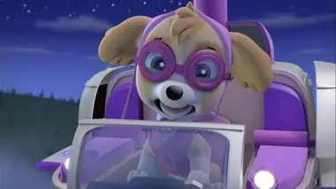 Paw Patrol, la Pat'Patrouille - Un atterrissage forcé