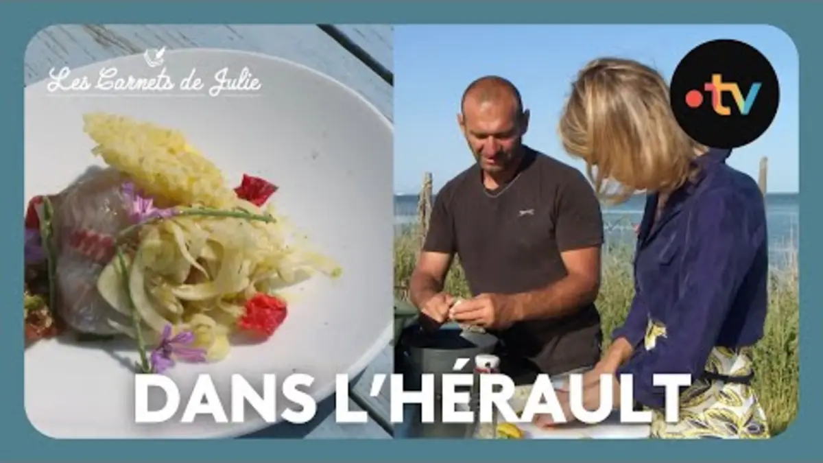 replay de Paysans d'Aujourd'hui dans l'Hérault - Les Carnets de Julie