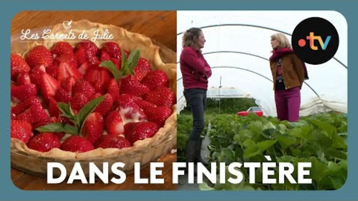 replay de Paysans d'Aujourd'hui dans le Finistère - Les Carnets de Julie