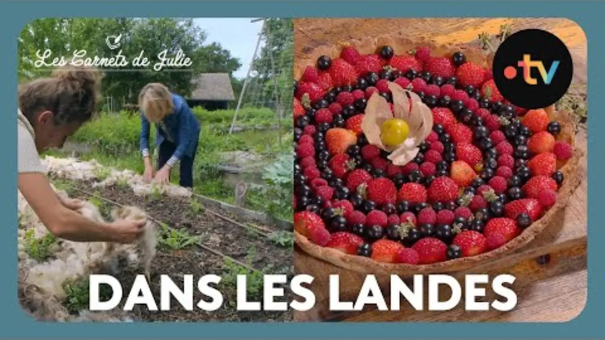 replay de Paysans d'Aujourd'hui dans les Landes - Les Carnets de Julie