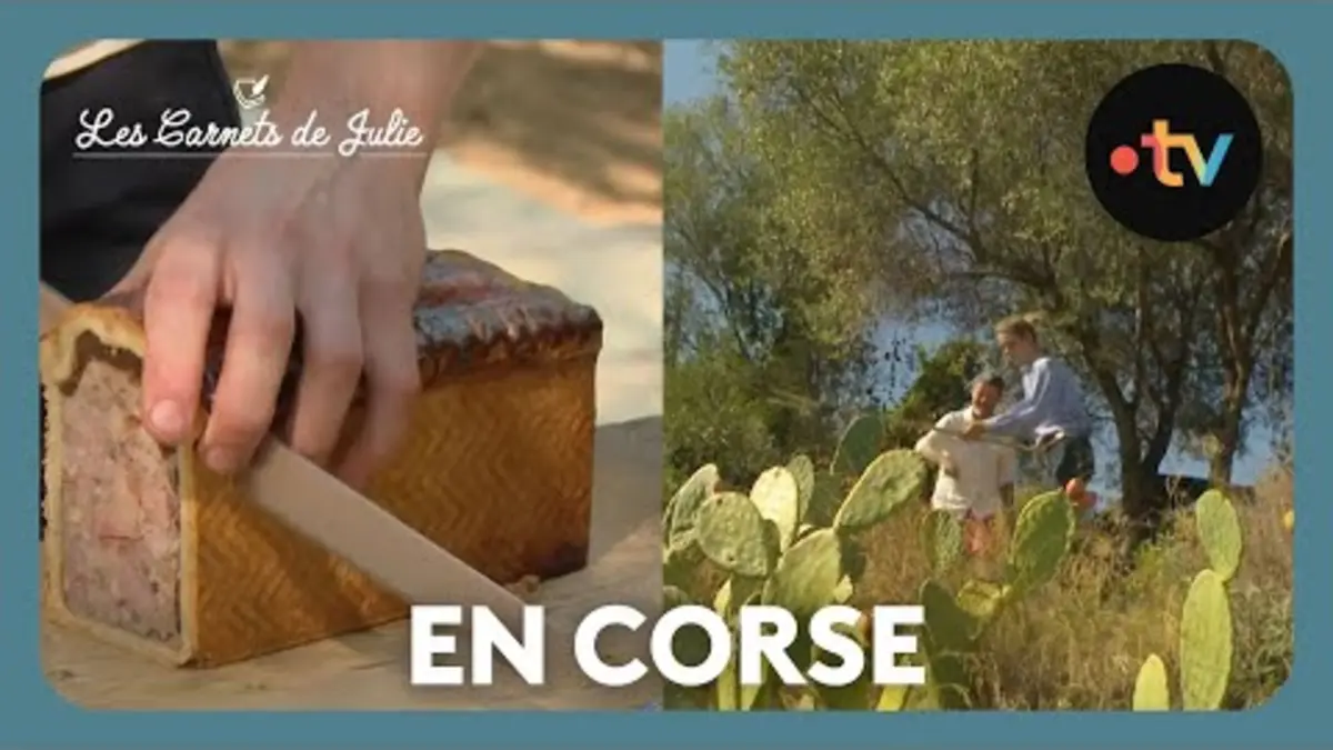 replay de Paysans d’aujourd’hui en Corse - Les Carnets de Julie