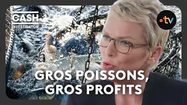 Pêche industrielle : gros poissons en eaux troubles - Cash investigation