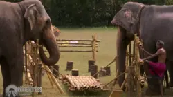 Pékin express : S16 E4