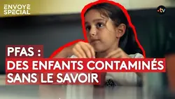 Perfluorés : vers un scandale mondial ? - reportage intégral