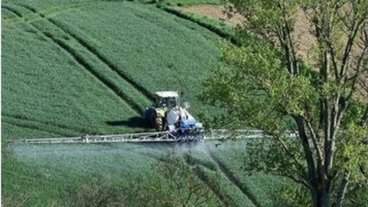 replay de Pesticides : l'Europe dans le viseur des ONG