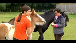 Au galop ! Petit poney deviendra grand