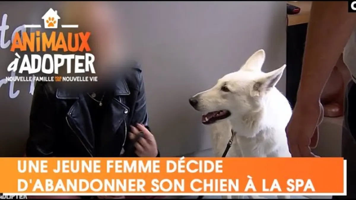 replay de Peu présente, une jeune femme décide d'abandonner son chien à la SPA - Animaux à Adopter