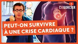 Peut-on survivre à une crise cardiaque ? - C'est pas sorcier