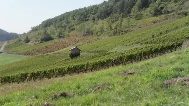 Pierre Dubreuil, Véronique Briday