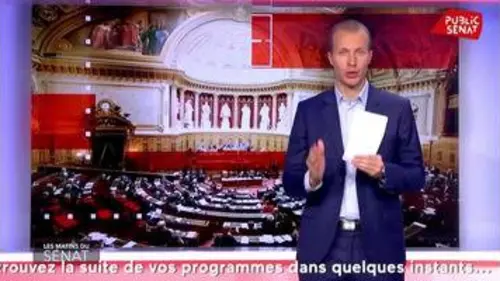 replay de PMA : le Sénat débat de la filiation - Les matins du Sénat (24/01/2020)