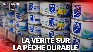POISSON : Peut-on faire confiance aux labels de pêche ? – Tout Compte Fait