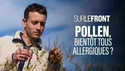 Pollen : bientôt tous allergiques ?