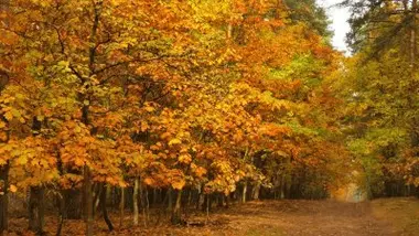 Pourquoi a-t-on déjà l'impression d'être en automne ?