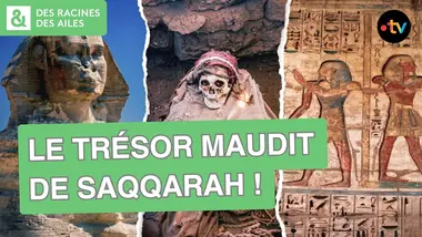 Pourquoi cette découverte terrifie les archéologues ? | Documentaire | France TV
