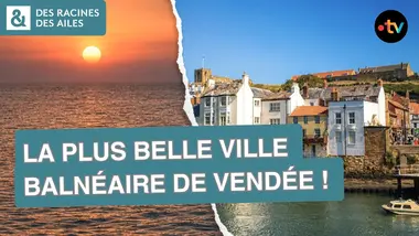Pourquoi cette ville attire depuis plus d’un siècle ? | Documentaire | France TV