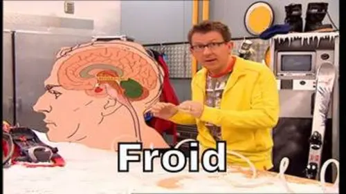 replay de Pourquoi frissonne-t-on ? - C'est Pas Sorcier