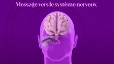 Pourquoi je m'énerve pour rien : et si tout partait de mon mode de vie ?