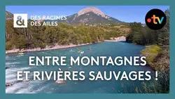 France 3 en direct
