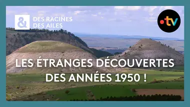 Pourquoi la Lozère fascine les géologues ? - Des racines et des ailes - Documentaire France TV