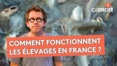 Pourquoi la pisciculture est si importante ? - C'est pas sorcier