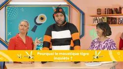 Pourquoi le moustique tigre inquiète ?