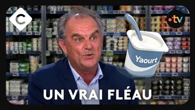 Pourquoi le pot de yaourt est un cauchemar écologique