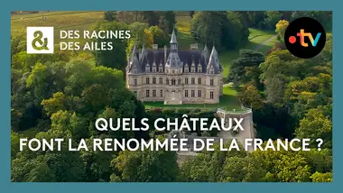 Pourquoi les châteaux français sont classés au patrimoine mondial ? - Des racines et des ailes - Doc