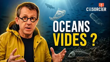 Pourquoi les poissons disparaissent des océans ? - C'est pas sorcier