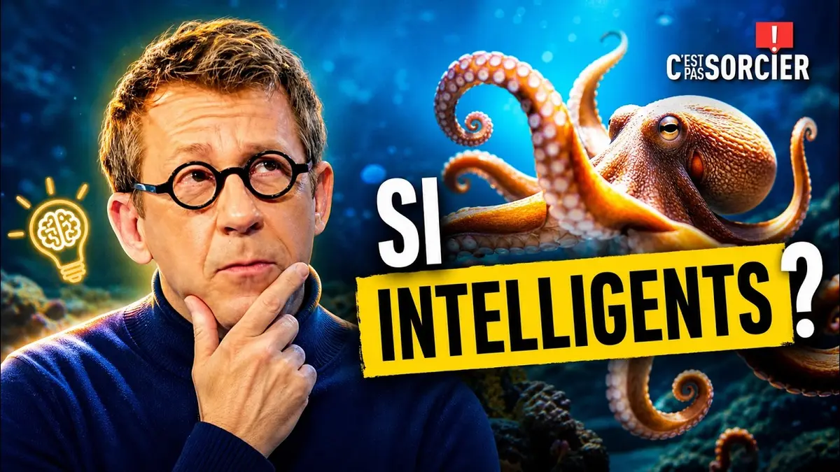 Pourquoi les poulpes sont si intelligents ? -…