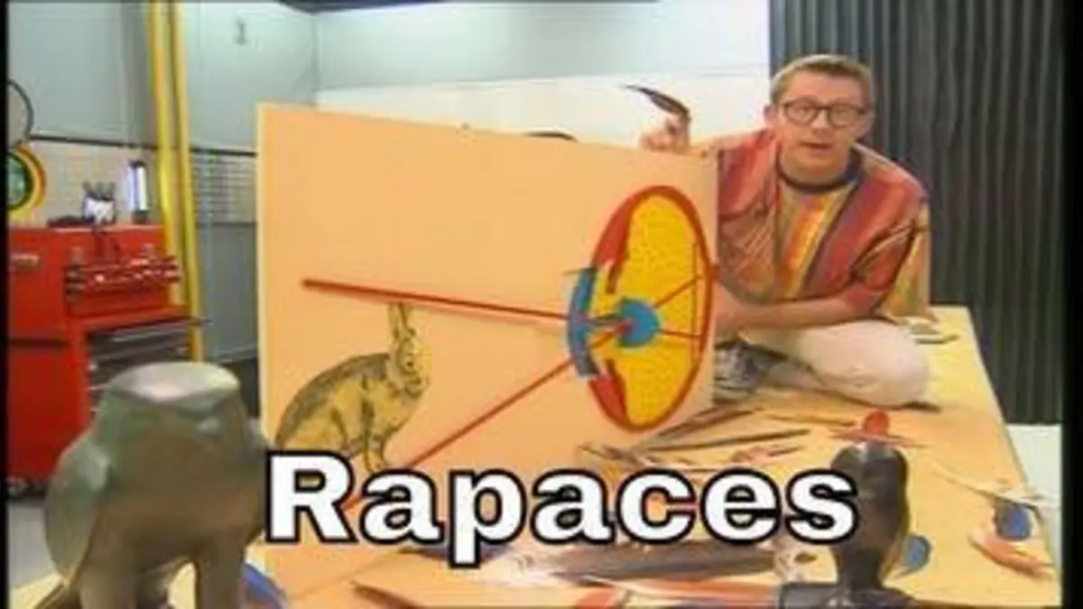 replay de Pourquoi les rapaces ont-ils une excellente vue ? - C'est Pas Sorcier