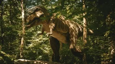 Pourquoi les traces de dinosaures nous fascinent-elles autant ?
