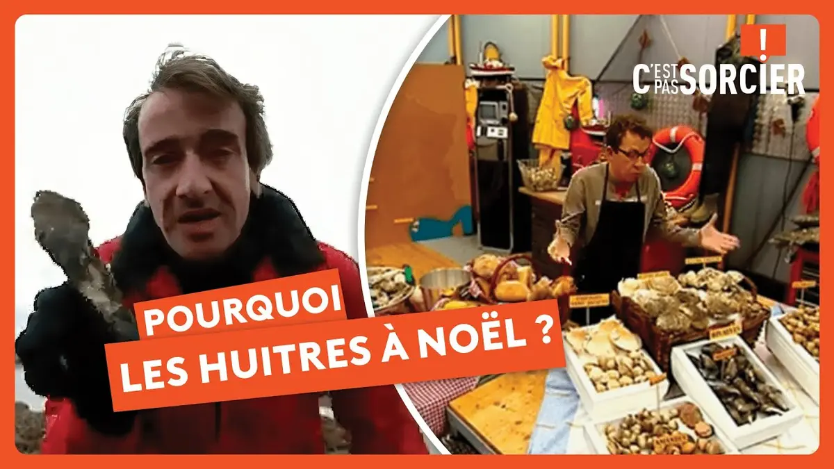 replay de Pourquoi mange t-on des huîtres à noël ?