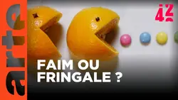 Pourquoi manger ce qu’on mange ? | 42 - La réponse à presque tout | ARTE