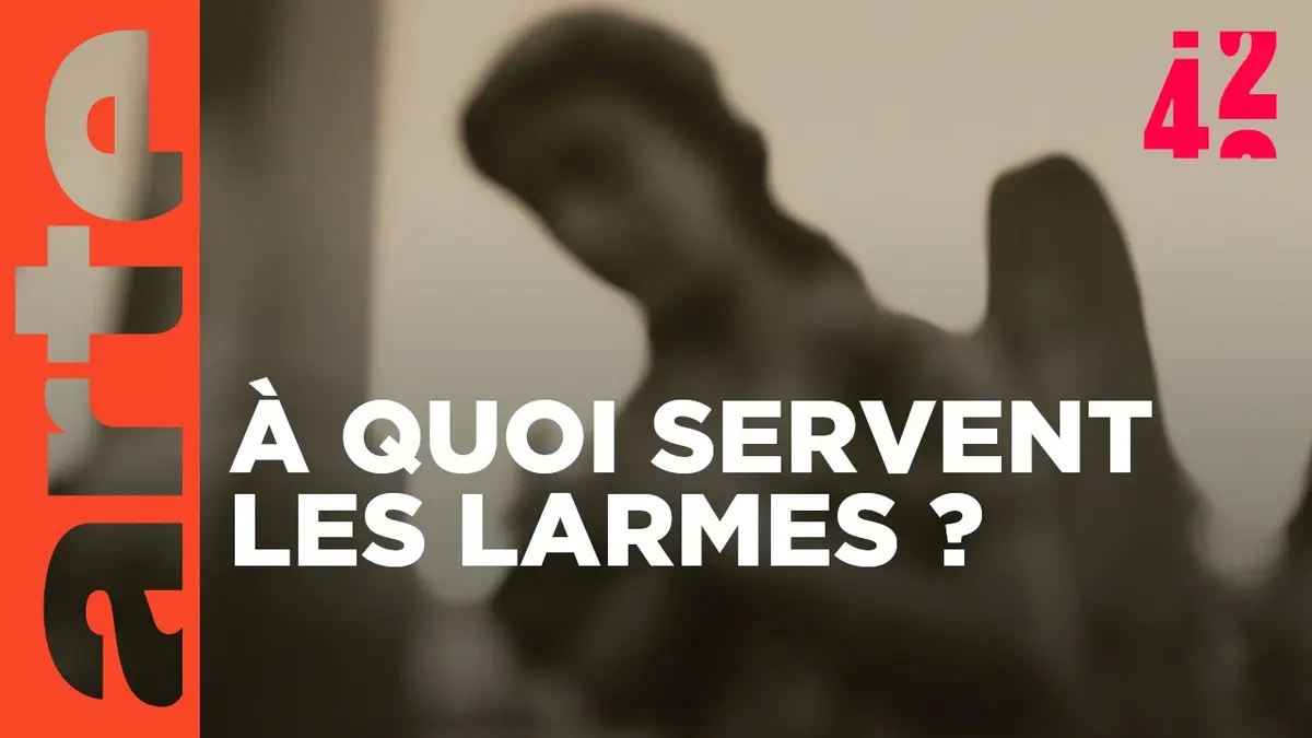 replay de Pourquoi pleurons-nous ? | 42 - La réponse à presque tout | ARTE