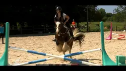 Au galop ! Premier contact