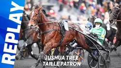 PRIX DE BOURGOGNE - AMÉRIQUE RACES Q5 : JUSHUA TREE, TAILLE PATRON