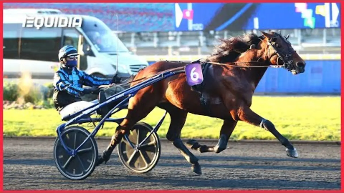 replay de PRIX OVIDE MOULINET 2023 | Idao de Tillard se rachète ! | Groupe 2 | Vincennes