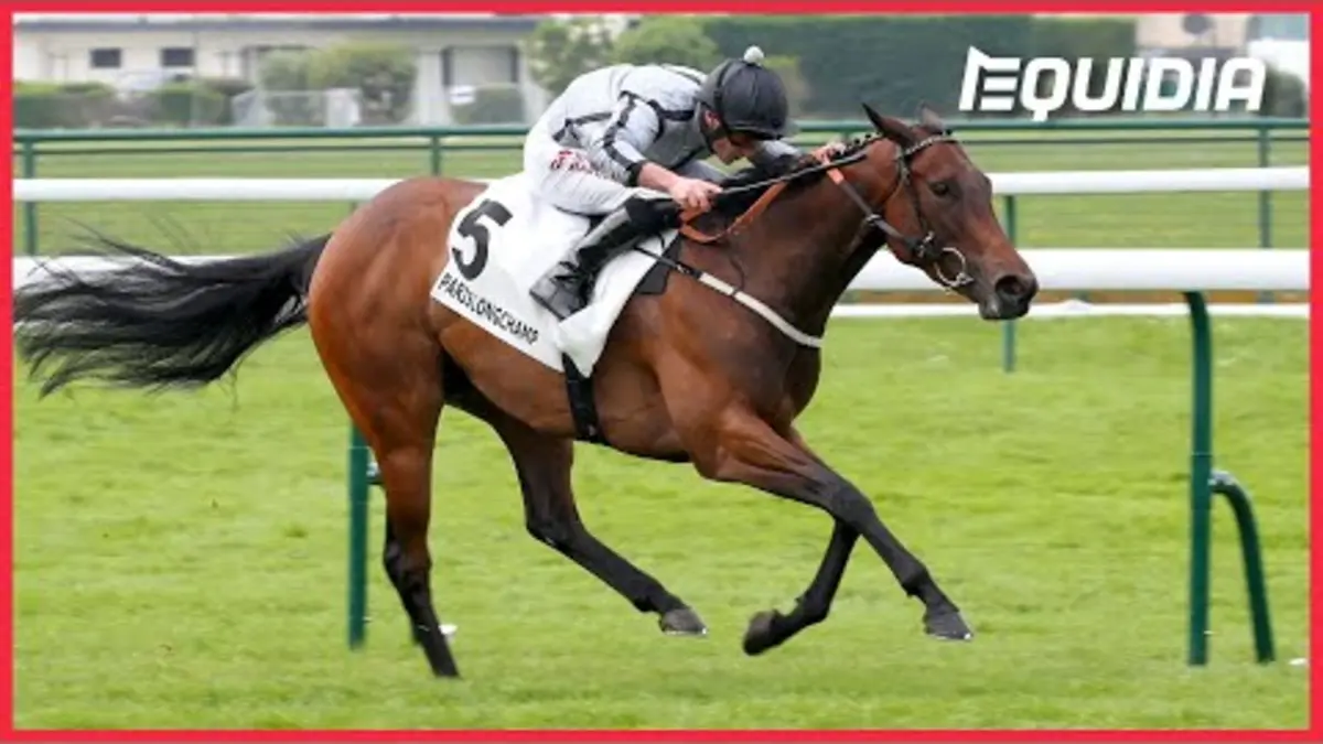 replay de PRIX SAINT-GEORGE 2023 | Ça sent bon pour White Lavender | ParisLongchamp | Groupe 3