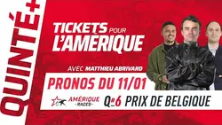 PRONOSTICS QUINTÉ+ DIMANCHE 11 JANVIER | Matthieu Abrivard fait le papier du Prix de Belgique Q6